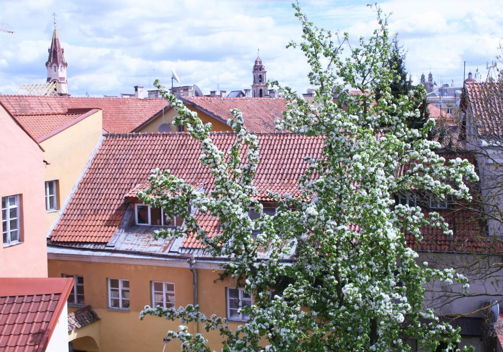 Old Town Apartment Antokolskio Вилнюс Екстериор снимка